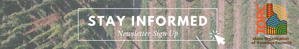 IORC Newsletters Signup