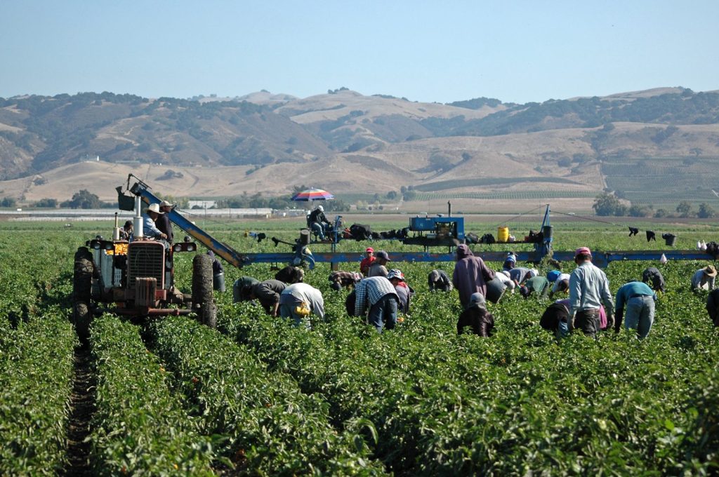 Food and Farmworkers